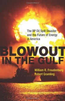 Blowout in the Gulf: The BP Oil Spill Disaster and the Future of Energy in America