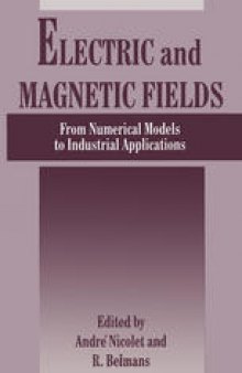 Electric and Magnetic Fields: From Numerical Models to Industrial Applications