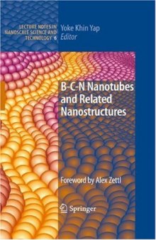 B-C-N Nanotubes and Related Nanostructures