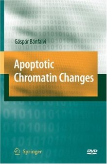 Apoptotic Chromatin Changes