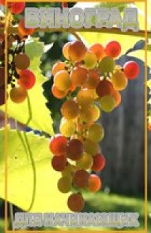 Виноград для начинающих