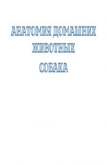 Анатомия домашних животных. Собака