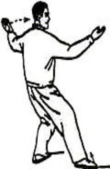 УПРОЩЁННЫЙ КОМПЛЕКС 24 формы Ян