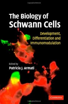 The Biology of Schwann Cells: Development, Differentiation and Immunomodulation