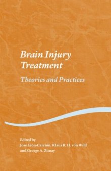 Brain Injury Treatment: Theories and Practices 