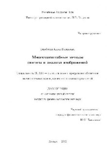 Многомасштабные методы синтеза и анализа изображений