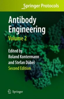 Antibody Engineering