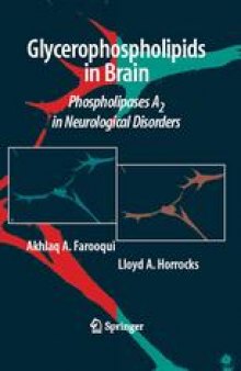 Glycerophospholipids in the Brain: Phospholipases A2 in Neurological Disorders