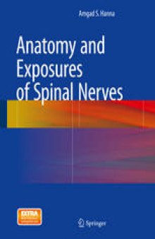 Anatomy and Exposures of Spinal Nerves