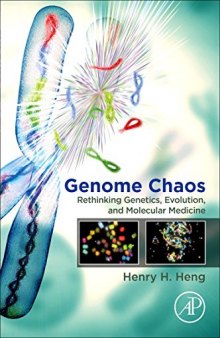 Genome Chaos: Rethinking Genetics, Evolution, and Molecular Medicine