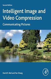 Intelligent Image and Video Compression: Communicating Pictures