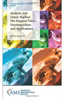 Analysis and Linear Algebra: The Singular Value Decomposition and Applications