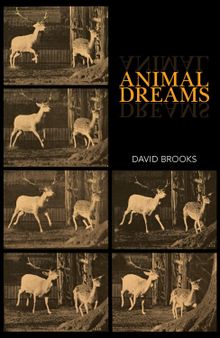 Animal Dreams