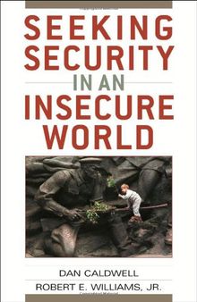 Seeking Security in an Insecure World