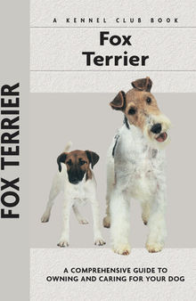 Fox Terrier