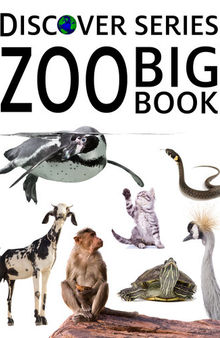 Zoo Big Book