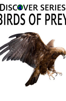 Birds of Prey