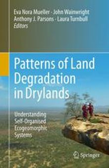 Patterns of Land Degradation in Drylands: Understanding Self-Organised Ecogeomorphic Systems