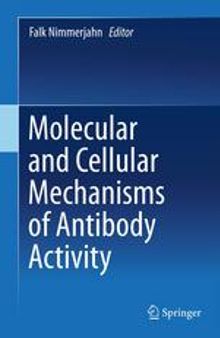 Molecular and Cellular Mechanisms of Antibody Activity