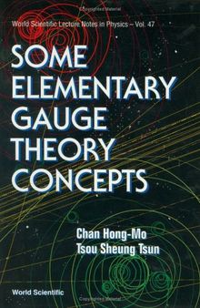 Some Elementary Gauge Theory Concepts