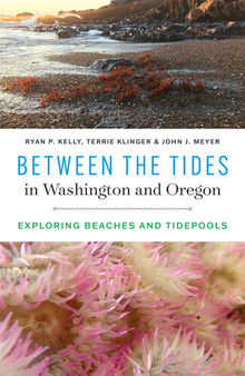 Between the Tides in Washington and Oregon: Exploring Beaches and Tidepools