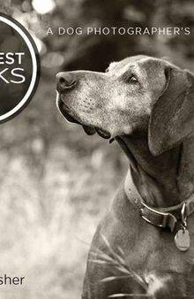 Greatest Clicks: A Dog Photographer's Best Shots