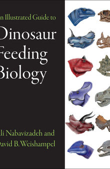 An Illustrated Guide to Dinosaur Feeding Biology