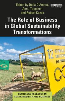 The Role of Business in Global Sustainability Transformations