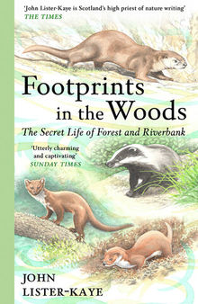 Footprints in the Woods: The Secret Life of Forest and Riverbank