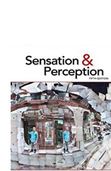 Sensation and Perception