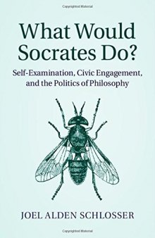 What Would Socrates Do?: Self-Examination, Civic Engagement, and the Politics of Philosophy