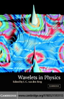 Wavelets in Physics