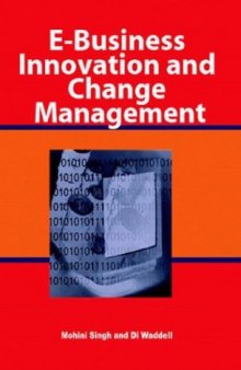 E-Business Innovation and Change Management