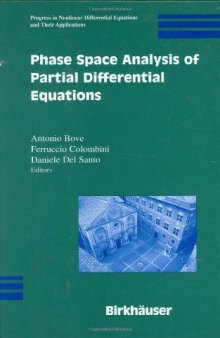 Phase Space Analysis of Partial Differential Equations