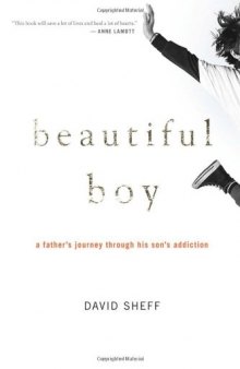 Beautiful Boy: A Father's Journey through His Son's Addiction