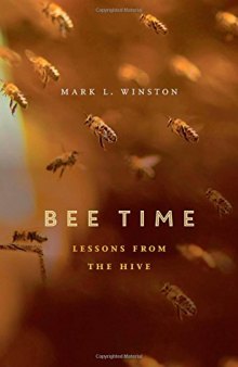 Bee Time: Lessons from the Hive