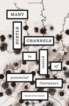 Many Subtle Channels: In Praise of Potential Literature