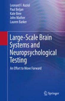 Large-Scale Brain Systems and Neuropsychological Testing: An Effort to Move Forward