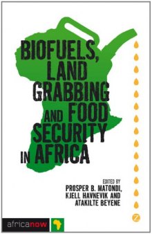 Biofuels, Land Grabbing and Food Security in Africa