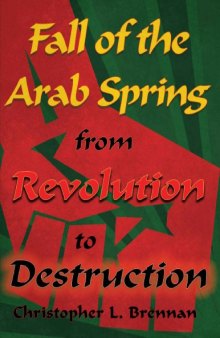 Fall of the Arab Spring From Revolution to Destruction