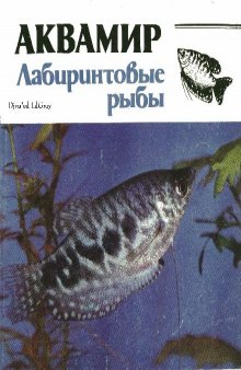 Аквамир. Лабиринтовые рыбы