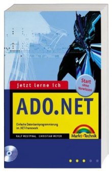 .NET Framework Developer's Guide. Effektiv programmieren mit den .NET-Sprachen