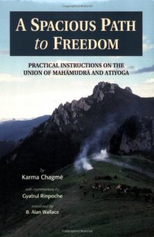 A Spacious Path to Freedom: Practical Instructions on the Union of Mahamudra and Atiyoga