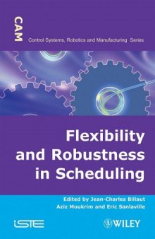 Flexibility and Robustness in Scheduling (Control Systems, Robotics and Manufacturing)