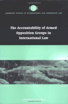 Accountability of armed opposition groups in international law