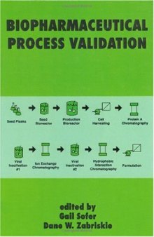 Biopharmaceutical Process Validation (Biotechnology and Bioprocessing)