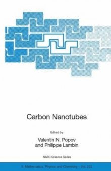 From Basic Research to Nanotechnology Carbon Nanotubes