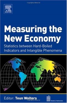 Measuring the New Economy: Statistics between Hard-Boiled Indicators and Intangible Phenomena