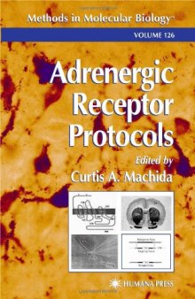 Adrenergic Receptor Protocols
