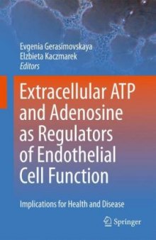 Extracellular ATP and Adenosine as Regulators of Endothelial Cell Function: Implications for Health and Disease